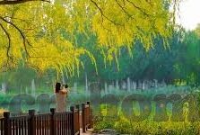 足球比分网500彩票网-足球比分网500彩票网，足球迷的实时数据与赛事分析一站式平台